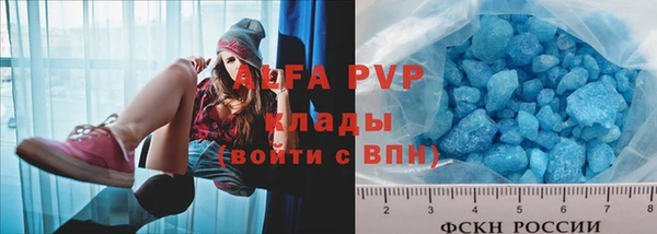 СК Заволжск