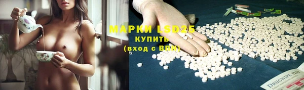 прущая мука Ельня